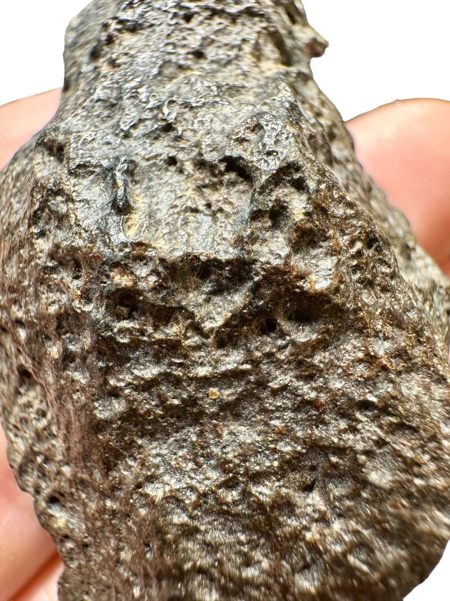 Meteorite NWA 14131 – Eucrite (Vesta) – Northwest Africa – M041