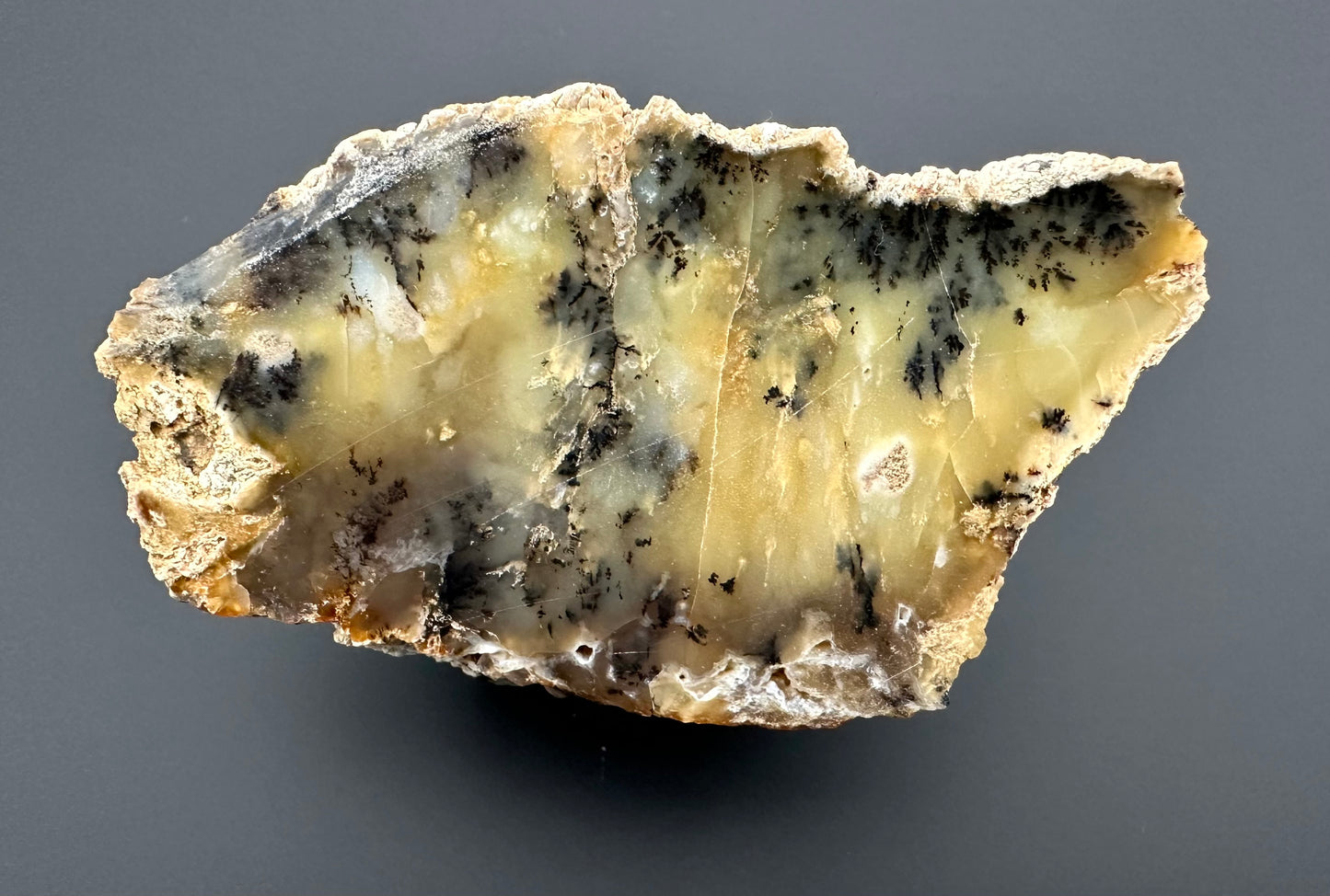 Opale – Bohouskovice, CZ – OPL005