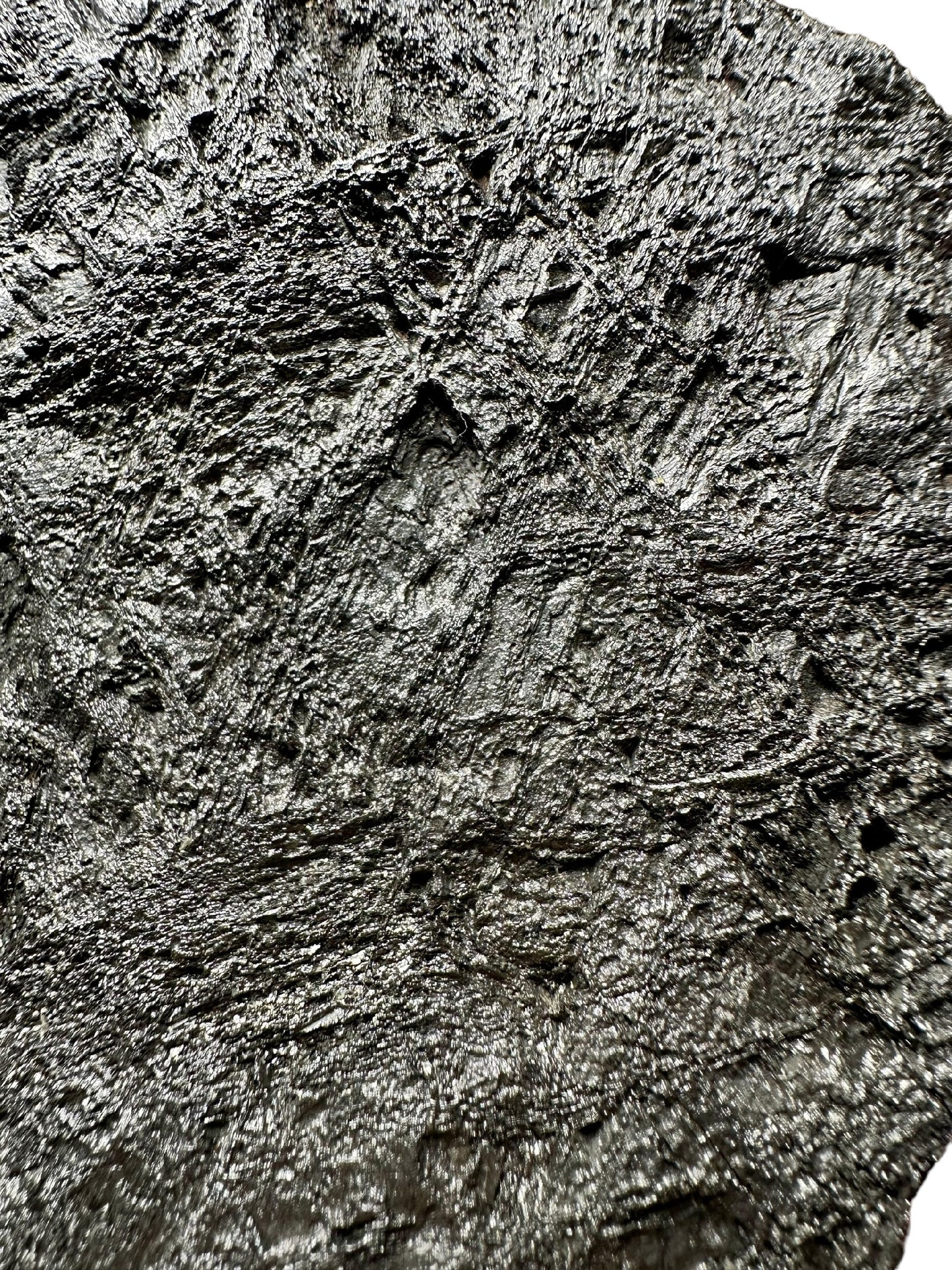 Meteorite Muonionalusta – Norrbotten, Sweden – MEMO15