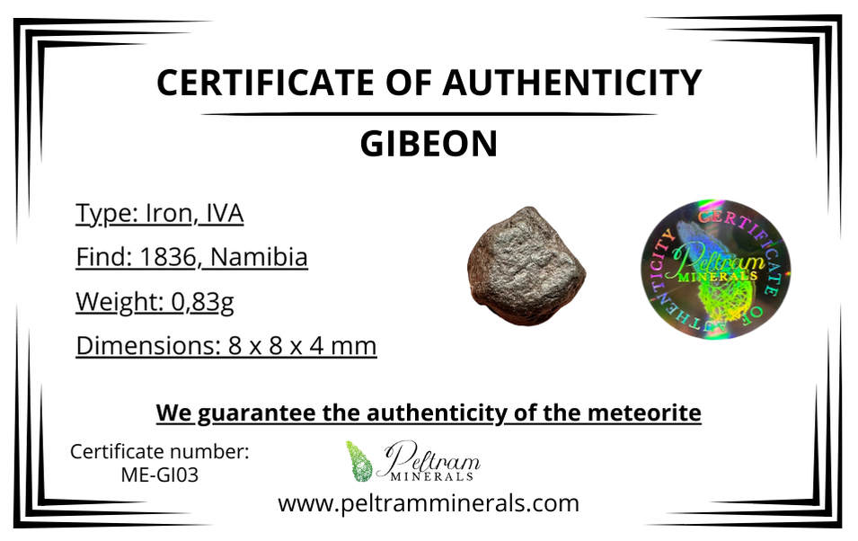 Meteorite Gibeon – Namibia – MEGI03