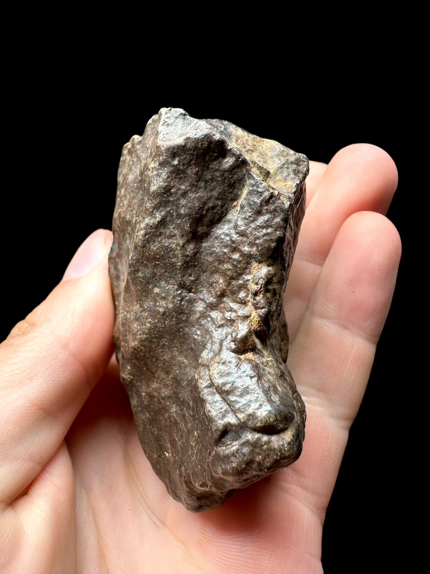 Meteorite NWA X – Northwest Africa – MENX17