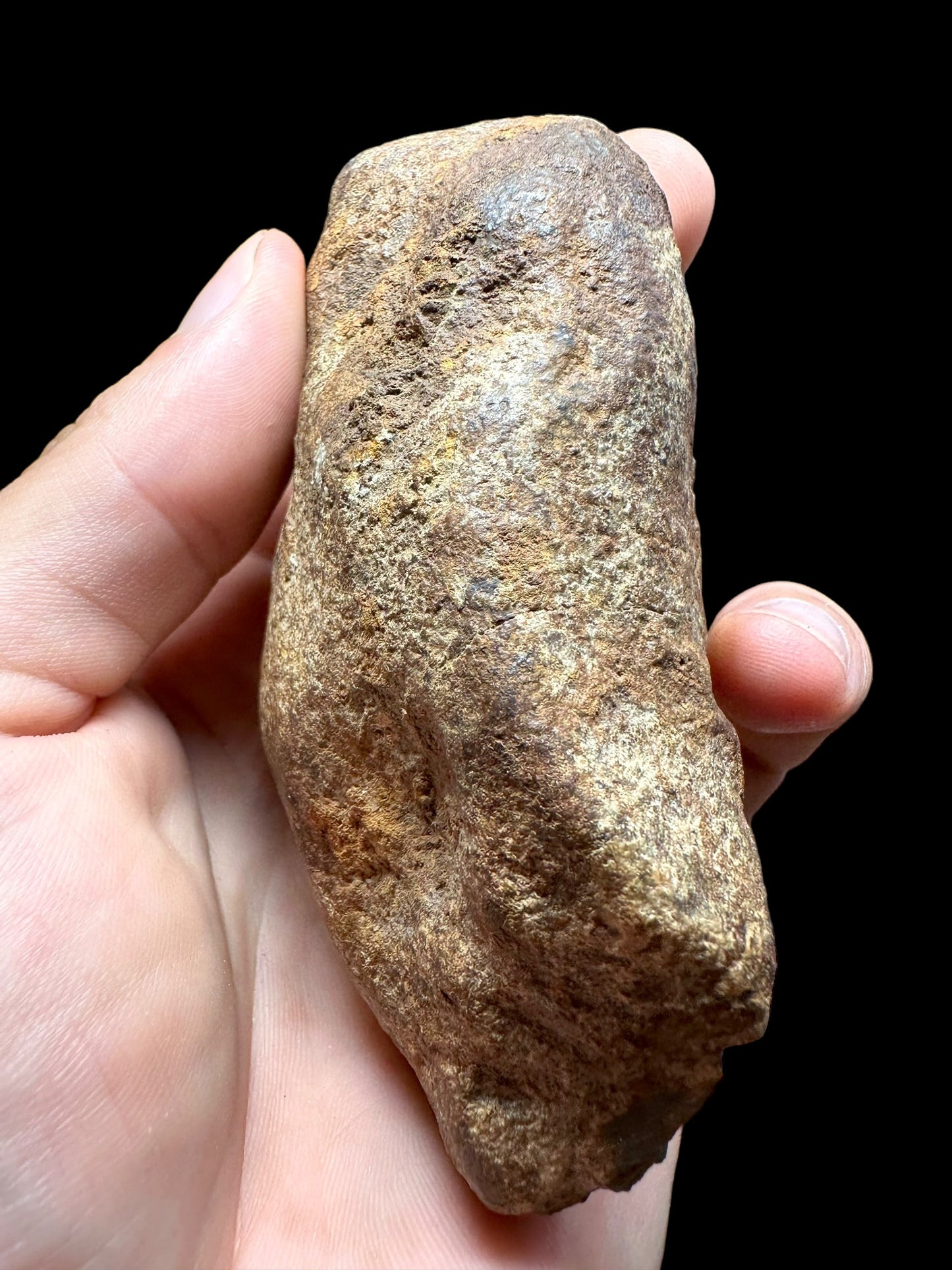 Meteorite NWA X – Northwest Africa – MENX18