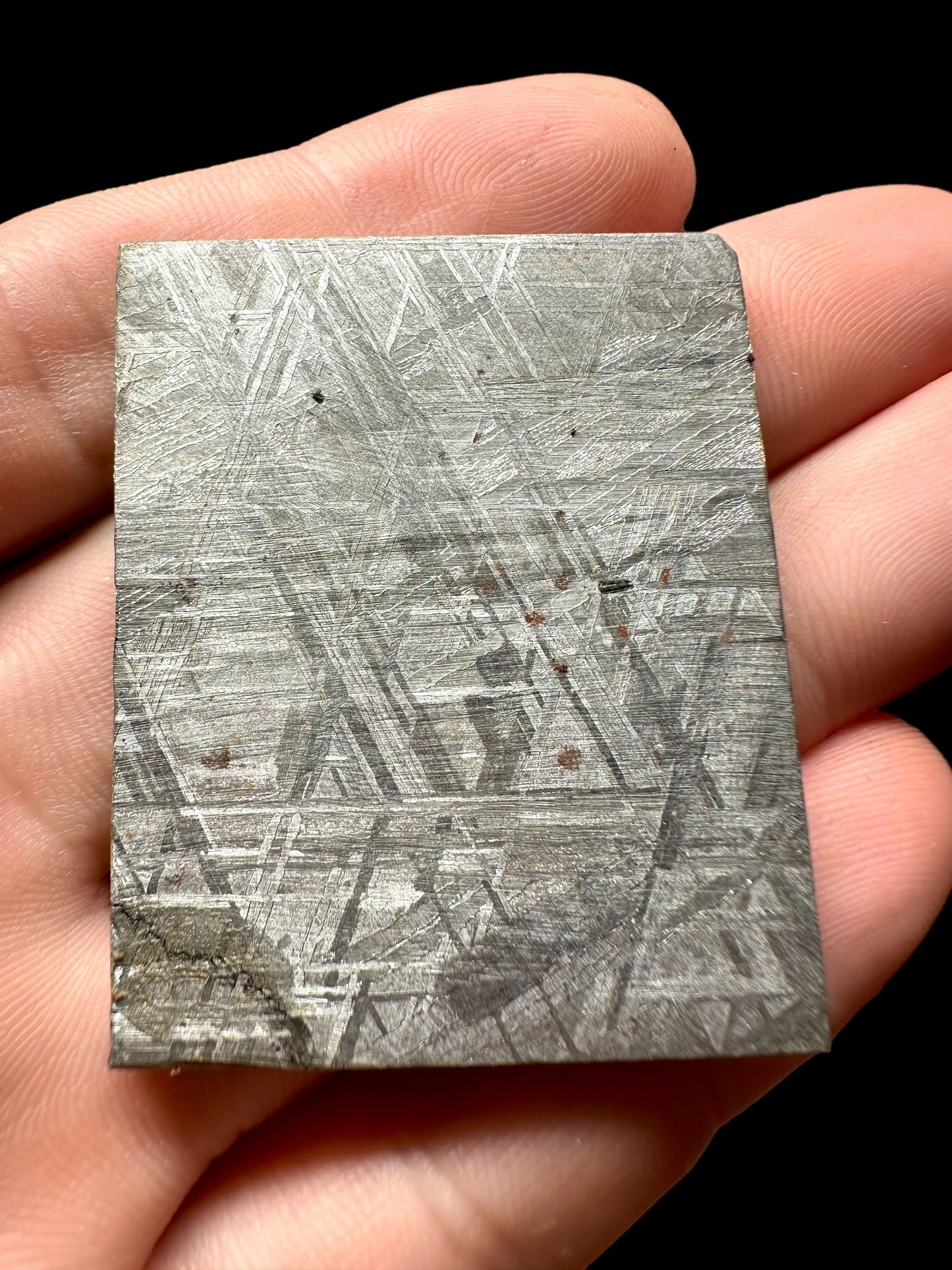 Meteorite Muonionalusta – Norrbotten, Sweden – MEMO07