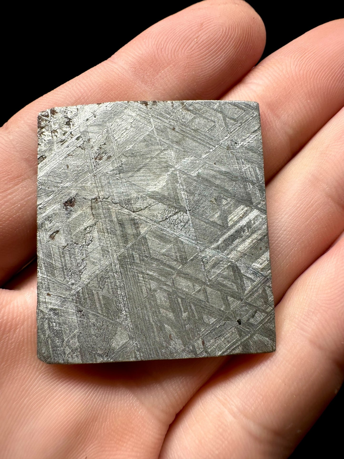 Meteorite Muonionalusta – Norrbotten, Sweden – MEMO08