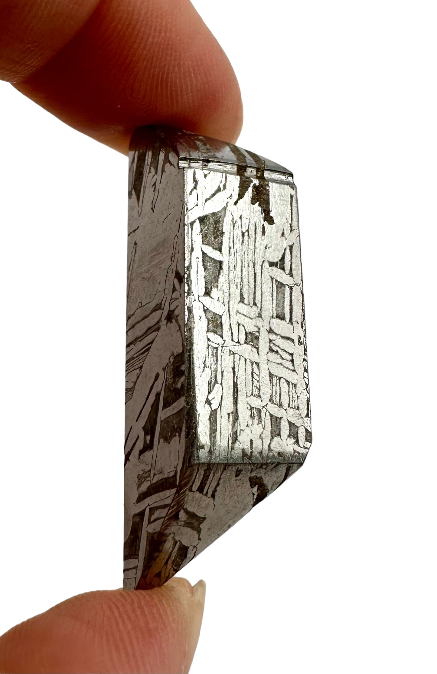 Meteorite Aletai – Xinjiang, China – MEAL11