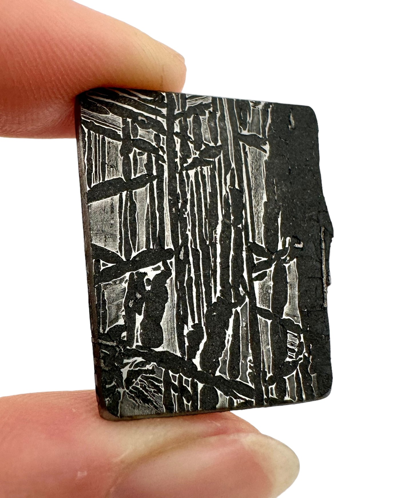 Meteorite Aletai – Xinjiang, China – MEAL25