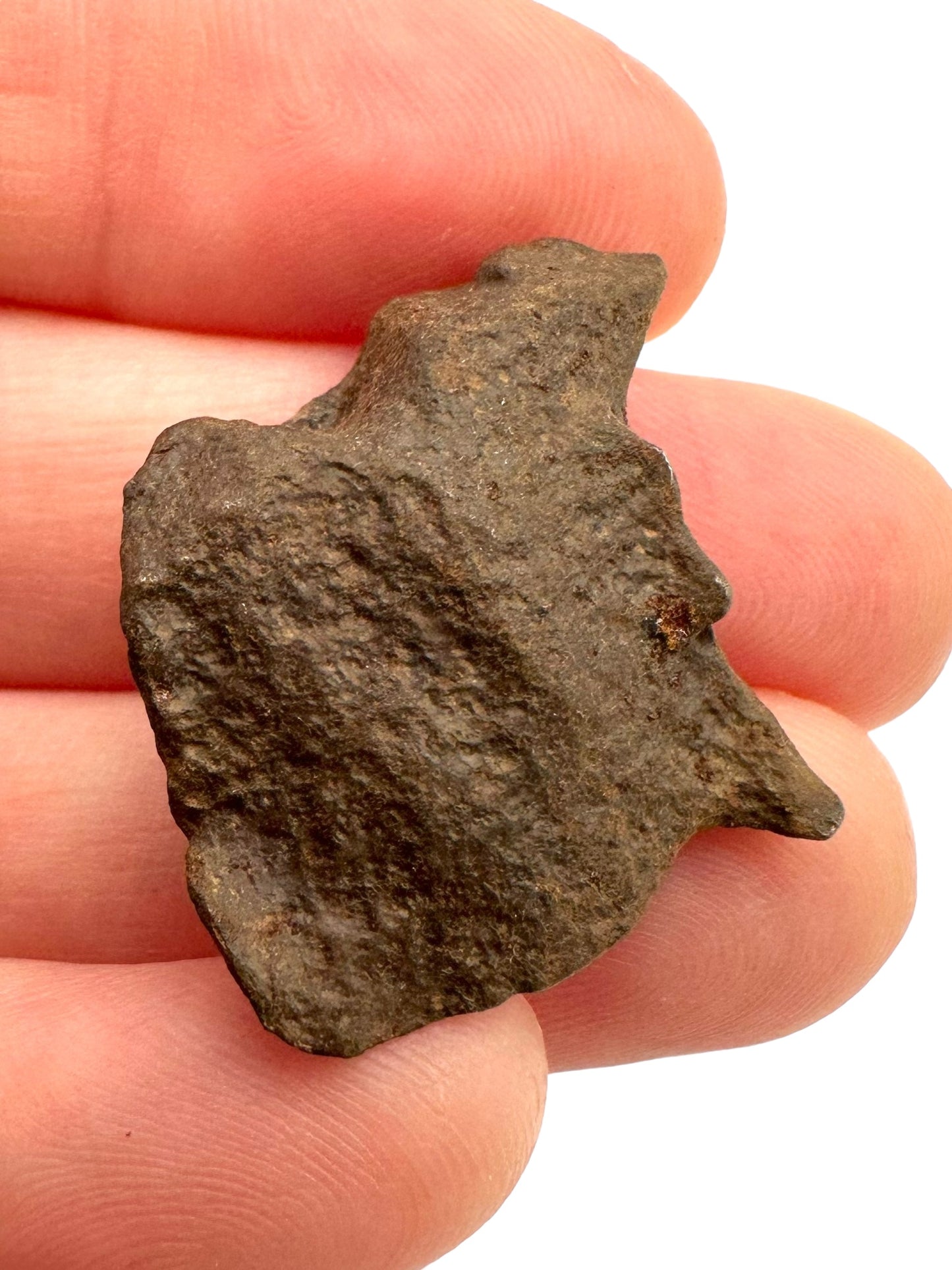 Meteorite Gebel Kamil – East Uweinat desert, Egypt – MEGE01