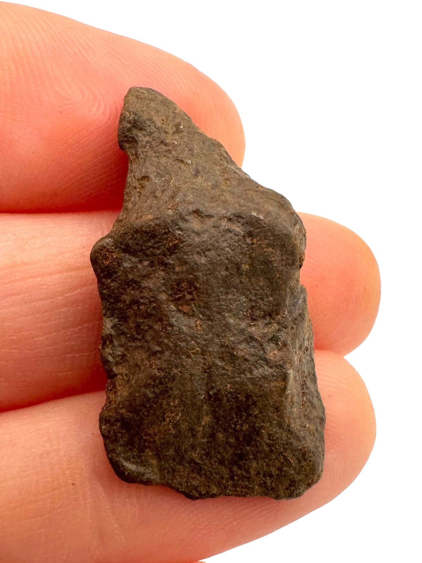 Meteorite Gebel Kamil – East Uweinat desert, Egypt – MEGE06