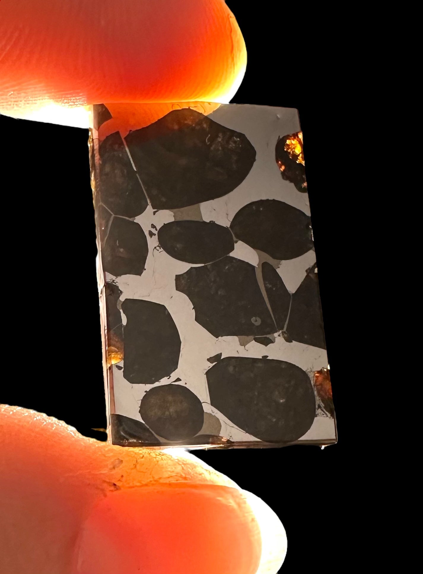 Meteorite Pallasite Brahin – Belarus – MEBR05