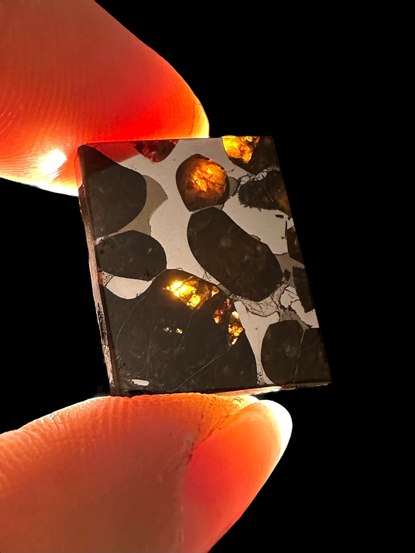 Meteorite Pallasite Brahin – Belarus – MEBR07