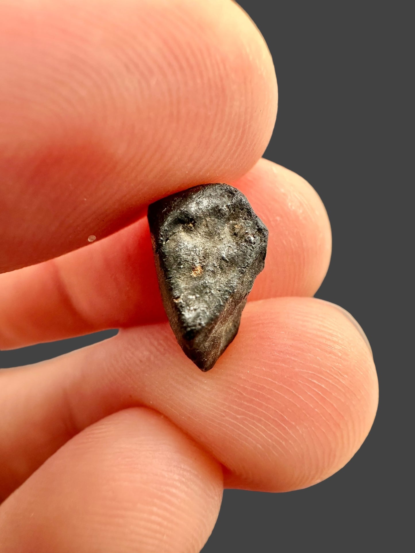 Meteorite Chelyabinsk – Russia – MECE20