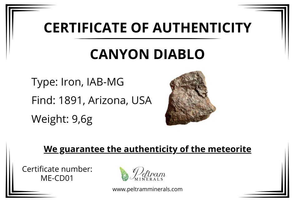 Meteorite Canyon Diablo – Arizona, USA – MECD01