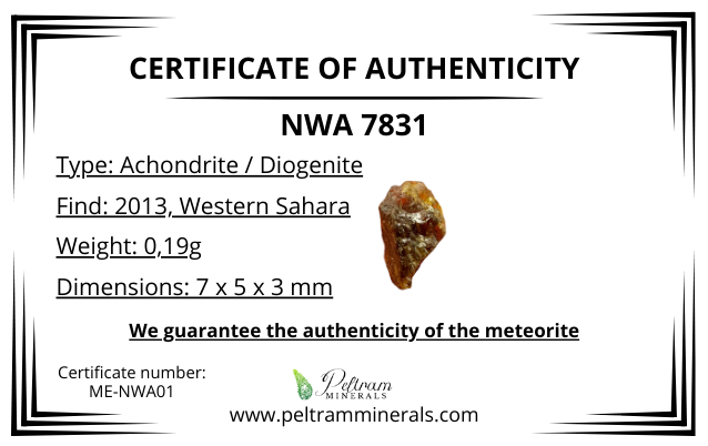 Meteorite NWA 7831 – Western Sahara – MENWA01