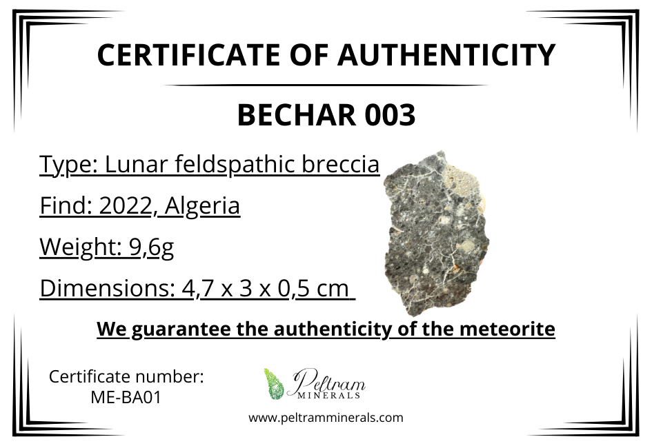 Meteorite lunare Bechar 003 – Algeria – MEBA01