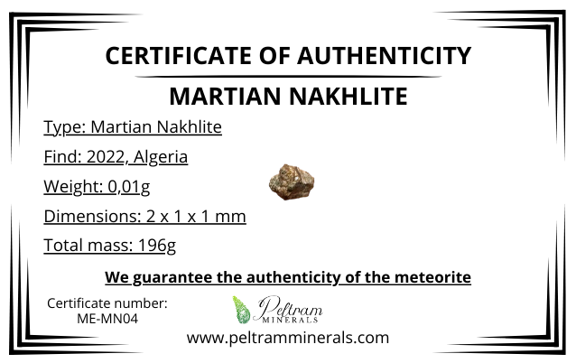 Meteorite NWA 15200 – Algeria, Northwest Africa – MEMN04