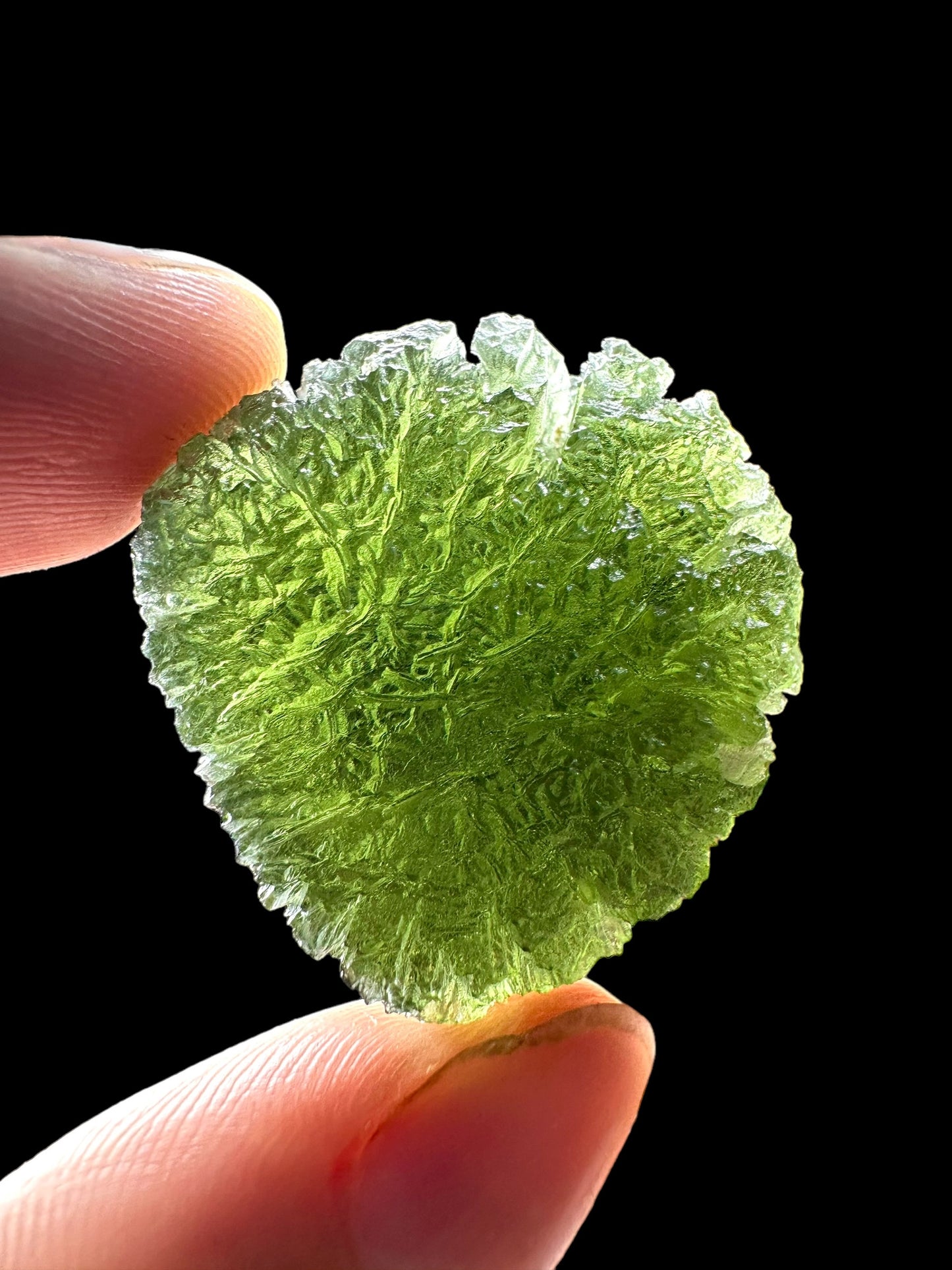 Moldavite – Slavce u CB – 15,6g