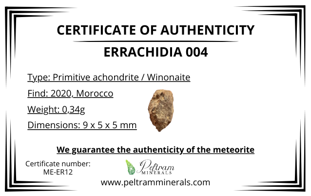 Meteorite Errachidia 004 – Morocco – MEER12