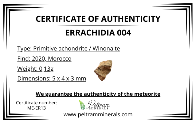 Meteorite Errachidia 004 – Morocco – MEER13