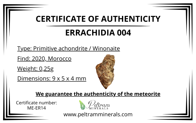 Meteorite Errachidia 004 – Morocco – MEER14