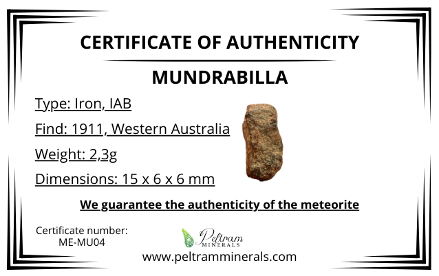 Meteorite Mundrabilla – Nullarbor plain, Australia – MEMU04
