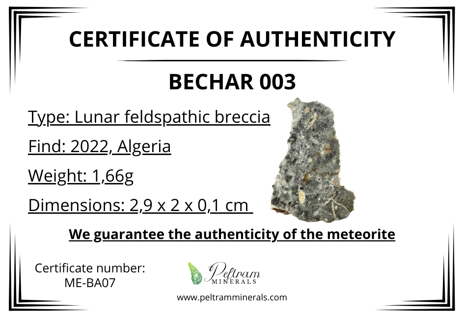 Meteorite lunare Bechar 003 – Algeria – MEBA07