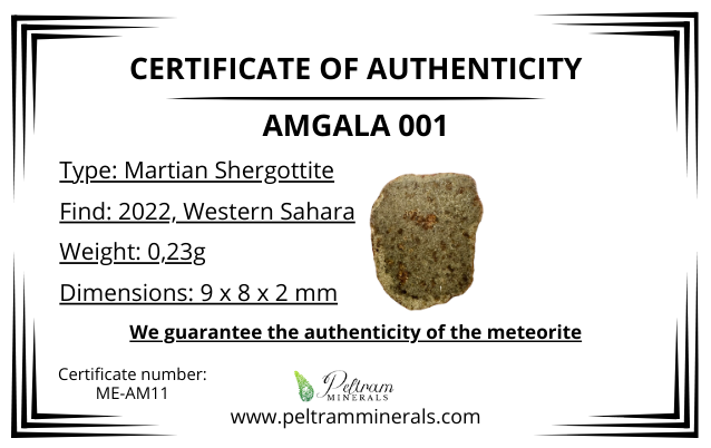 Meteorite Amgala 001 – Western Sahara – MEAM11