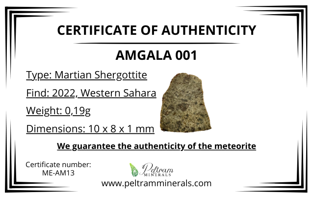 Meteorite Amgala 001 – Western Sahara – MEAM13