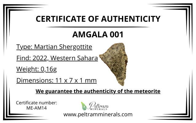 Meteorite Amgala 001 – Western Sahara – MEAM14