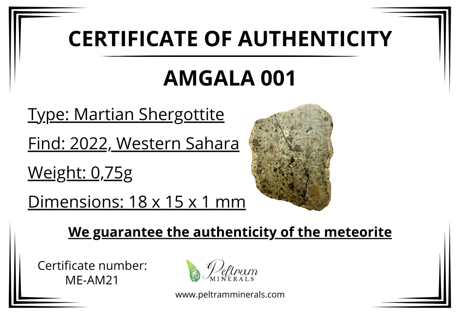 Meteorite Amgala 001 – Western Sahara – MEAM21