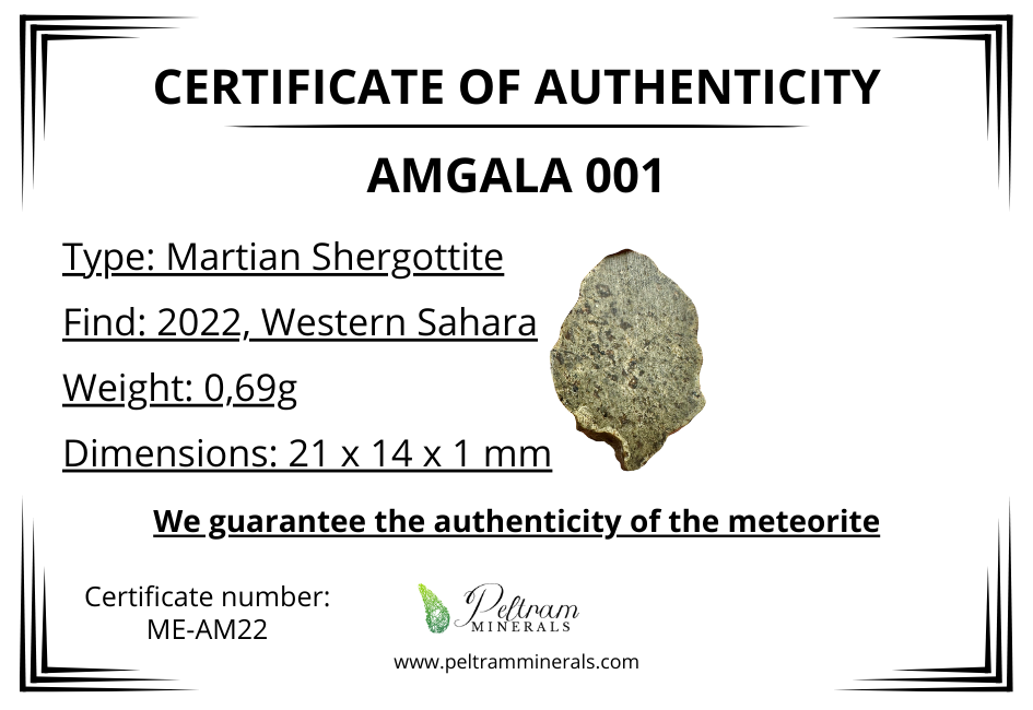 Meteorite Amgala 001 – Western Sahara – MEAM22