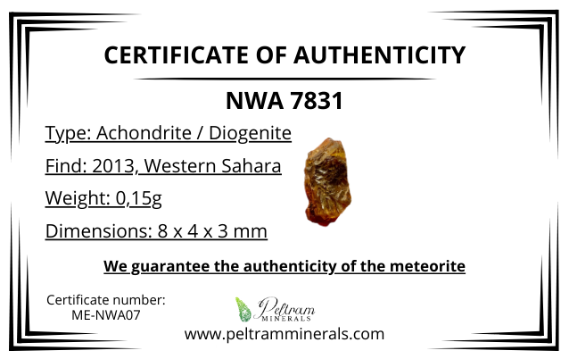 Meteorite NWA 7831 – Western Sahara – MENWA07
