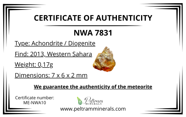 Meteorite NWA 7831 – Western Sahara – MENWA10