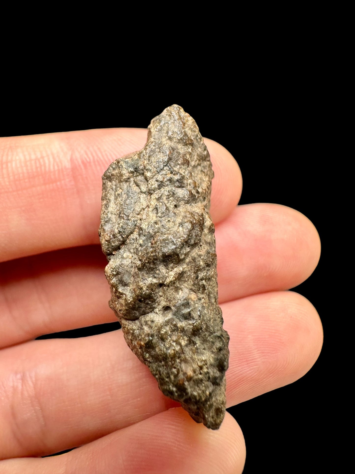 Meteorite Bechar 008, Howardite – Algeria – MEBE15