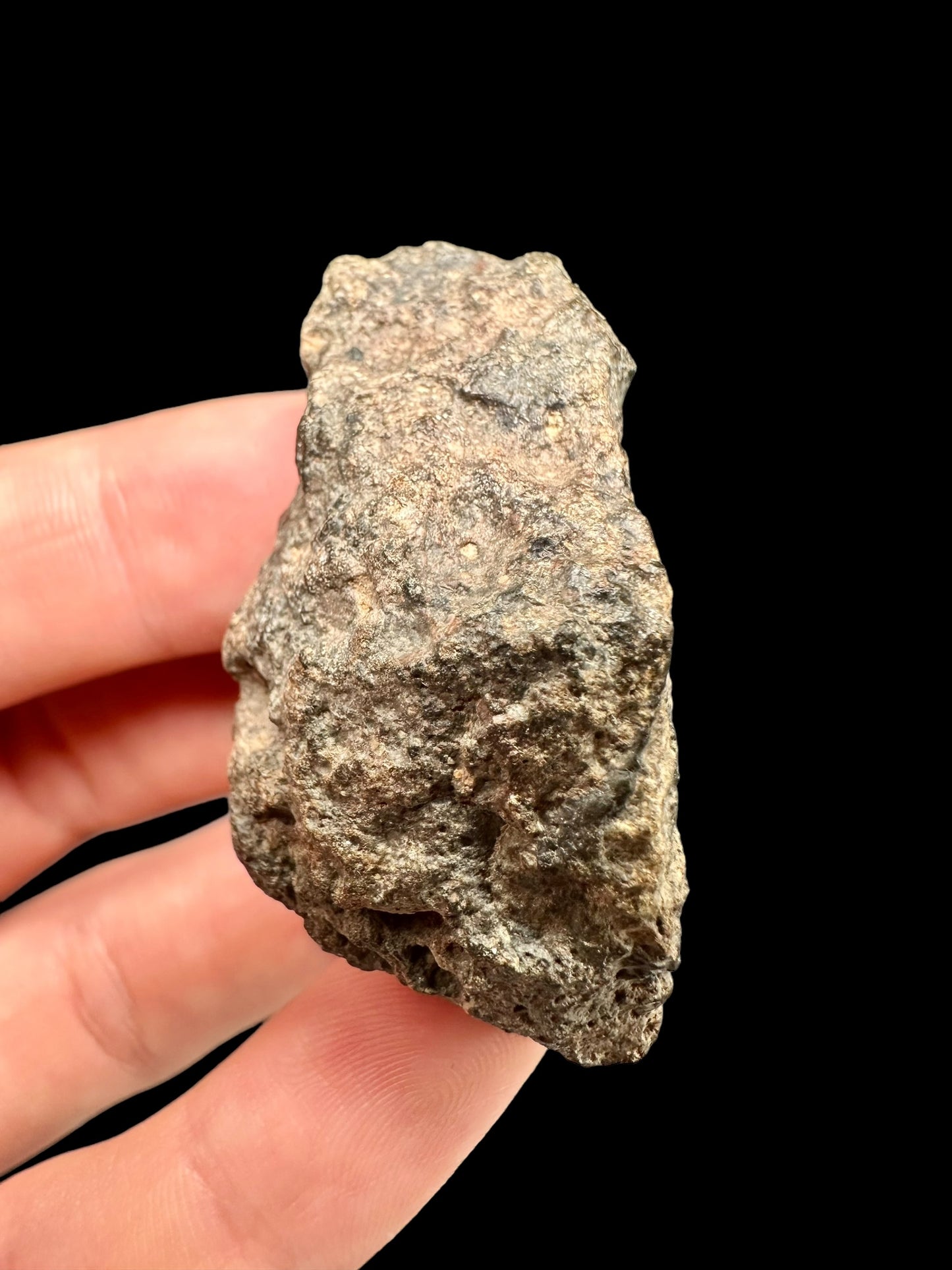 Meteorite Bechar 008, Howardite – Algeria – MEBE18