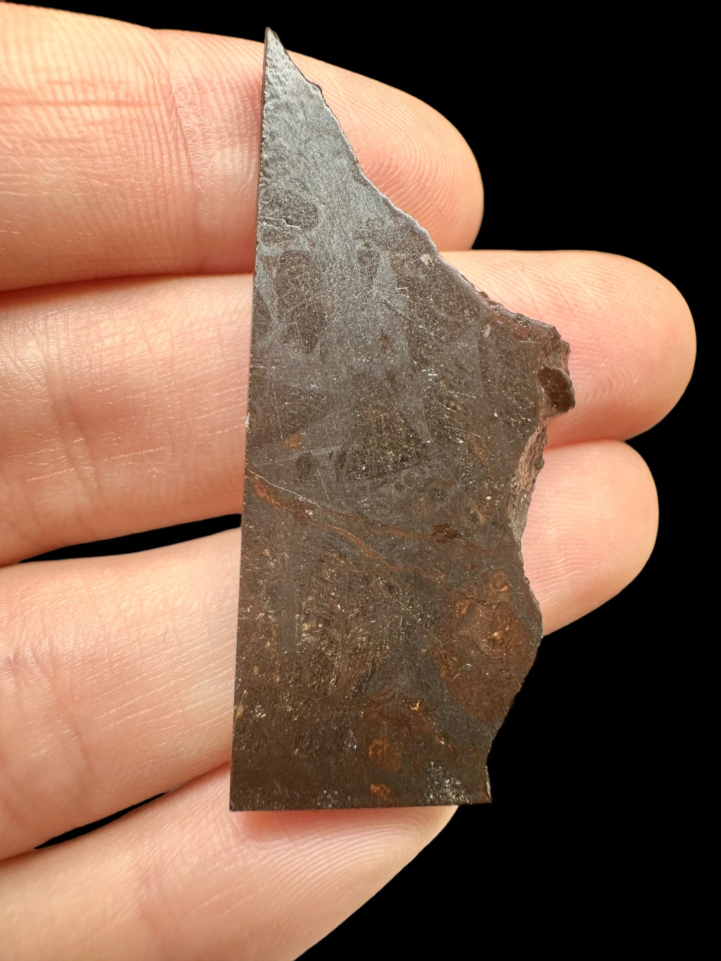 Meteorite Pallasite Huckitta – Australia – MEHU05