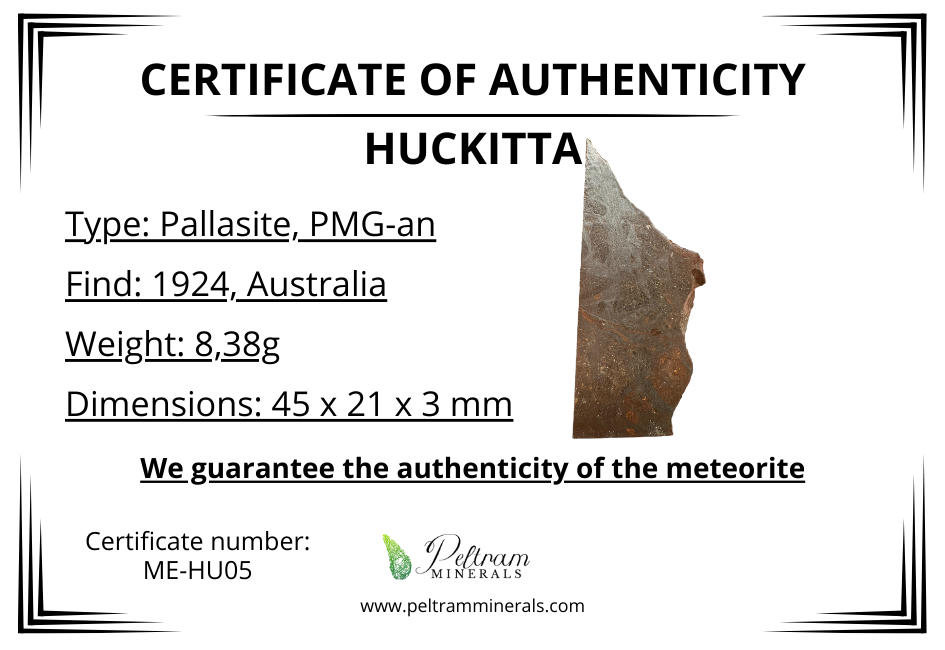 Meteorite Pallasite Huckitta – Australia – MEHU05