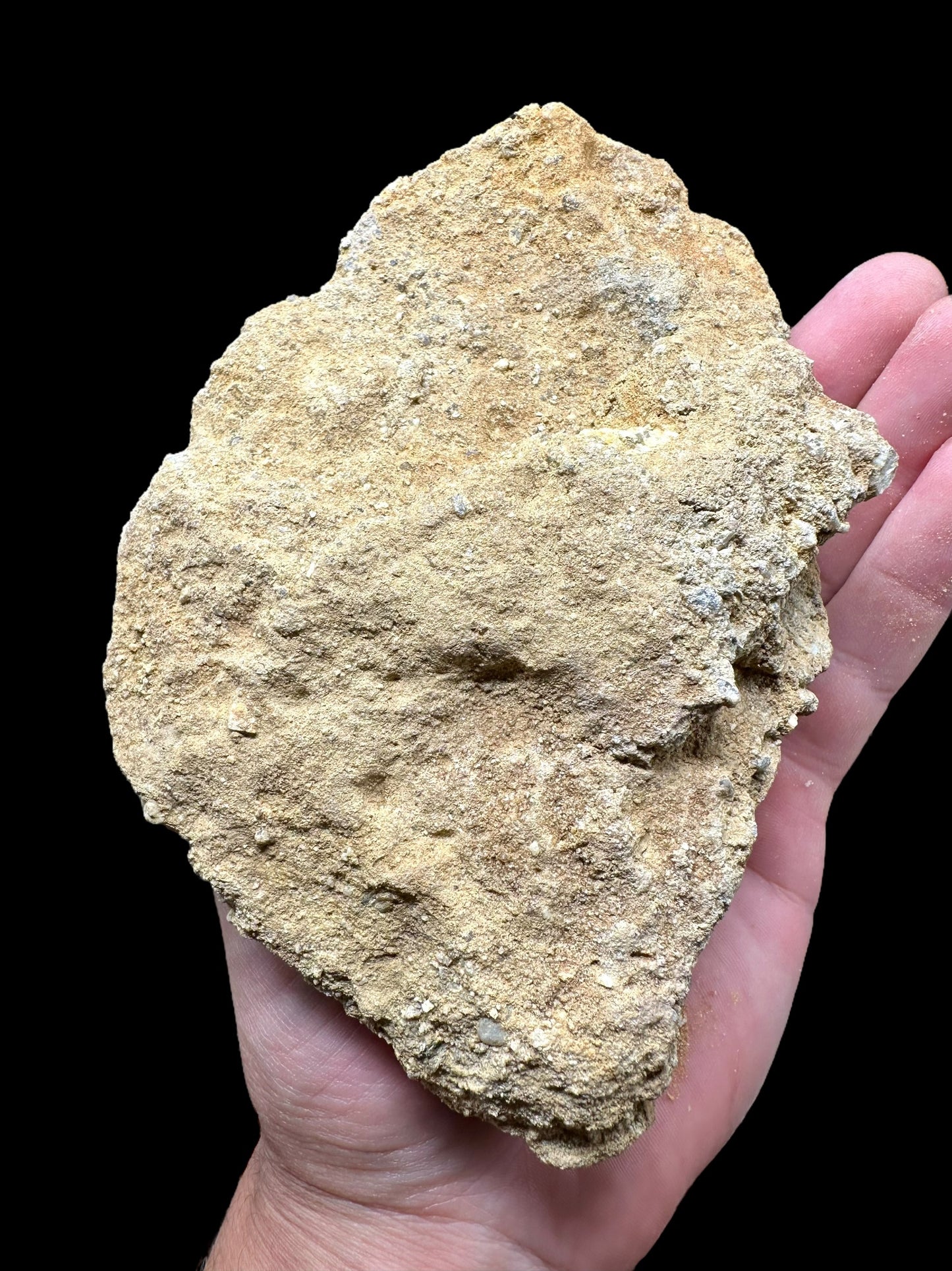 Moldavite In-Situ – Besednice – Sever – INS011