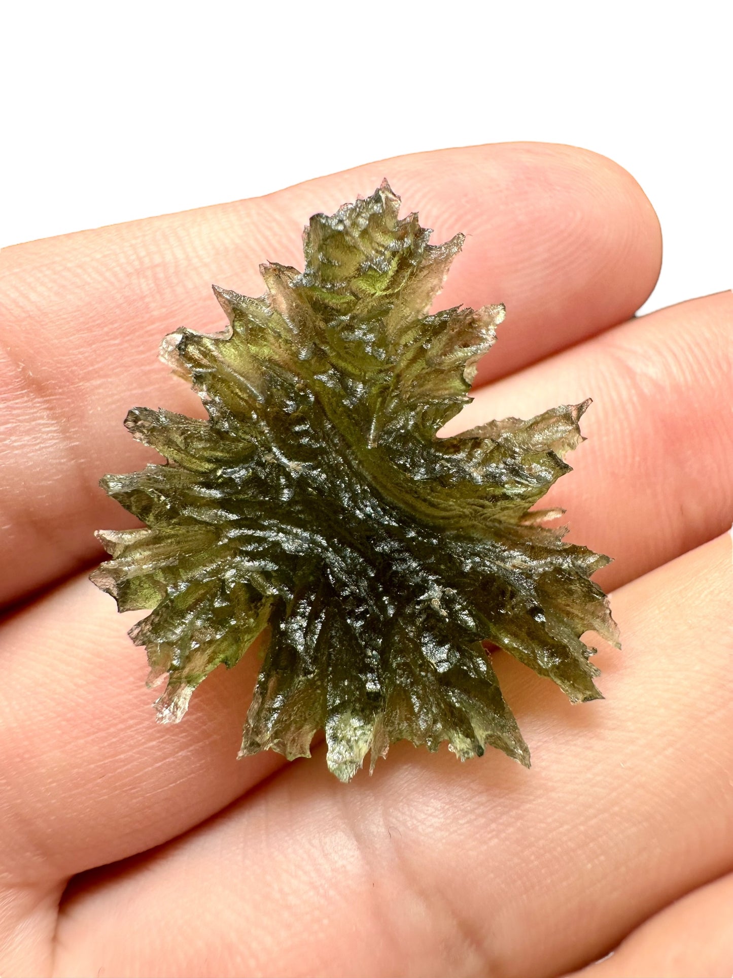 Moldavite – Besednice Jezkovna – 4,3g – V625