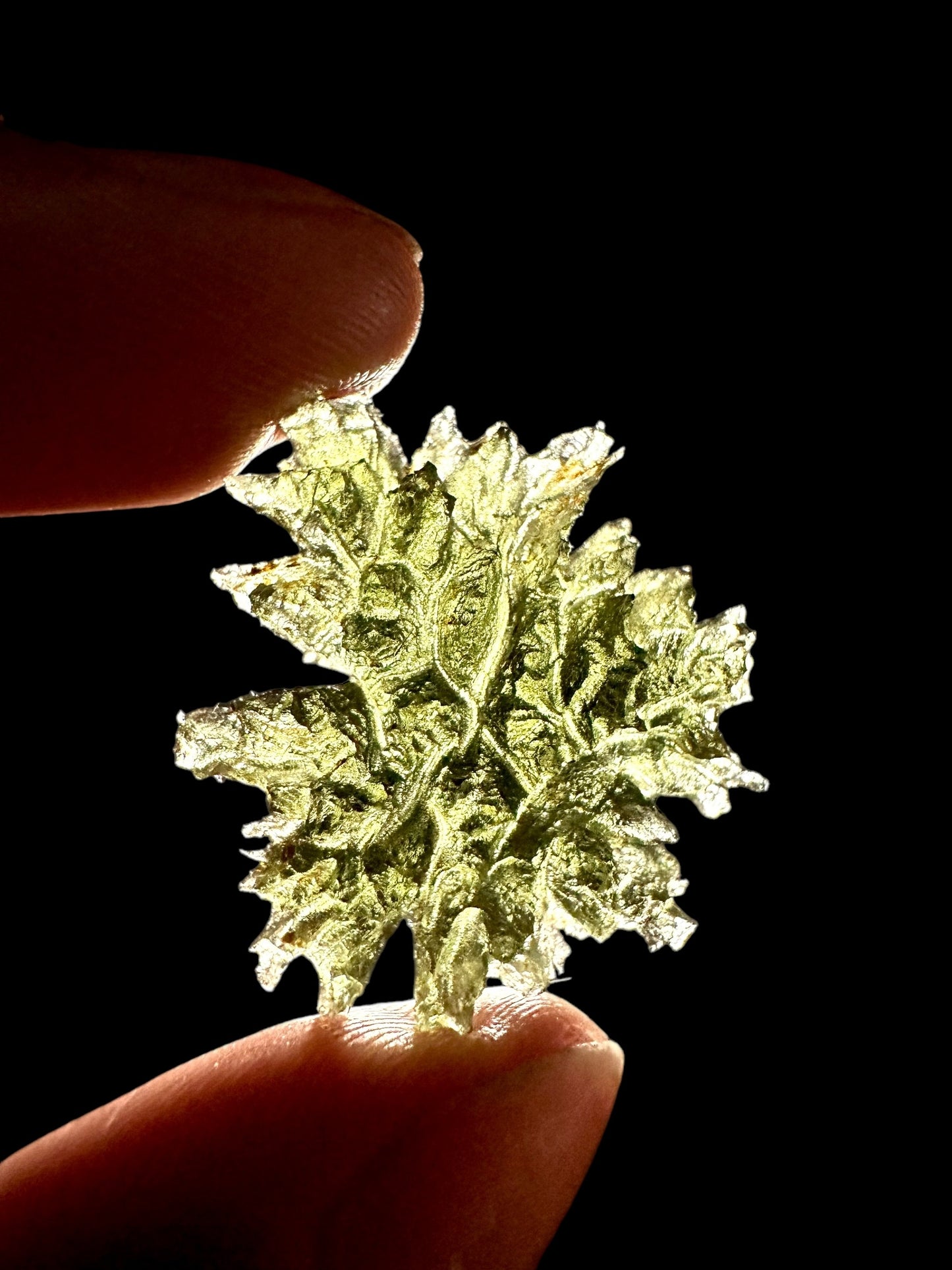 Moldavite – Besednice Jezkovna – 4,3g – V625
