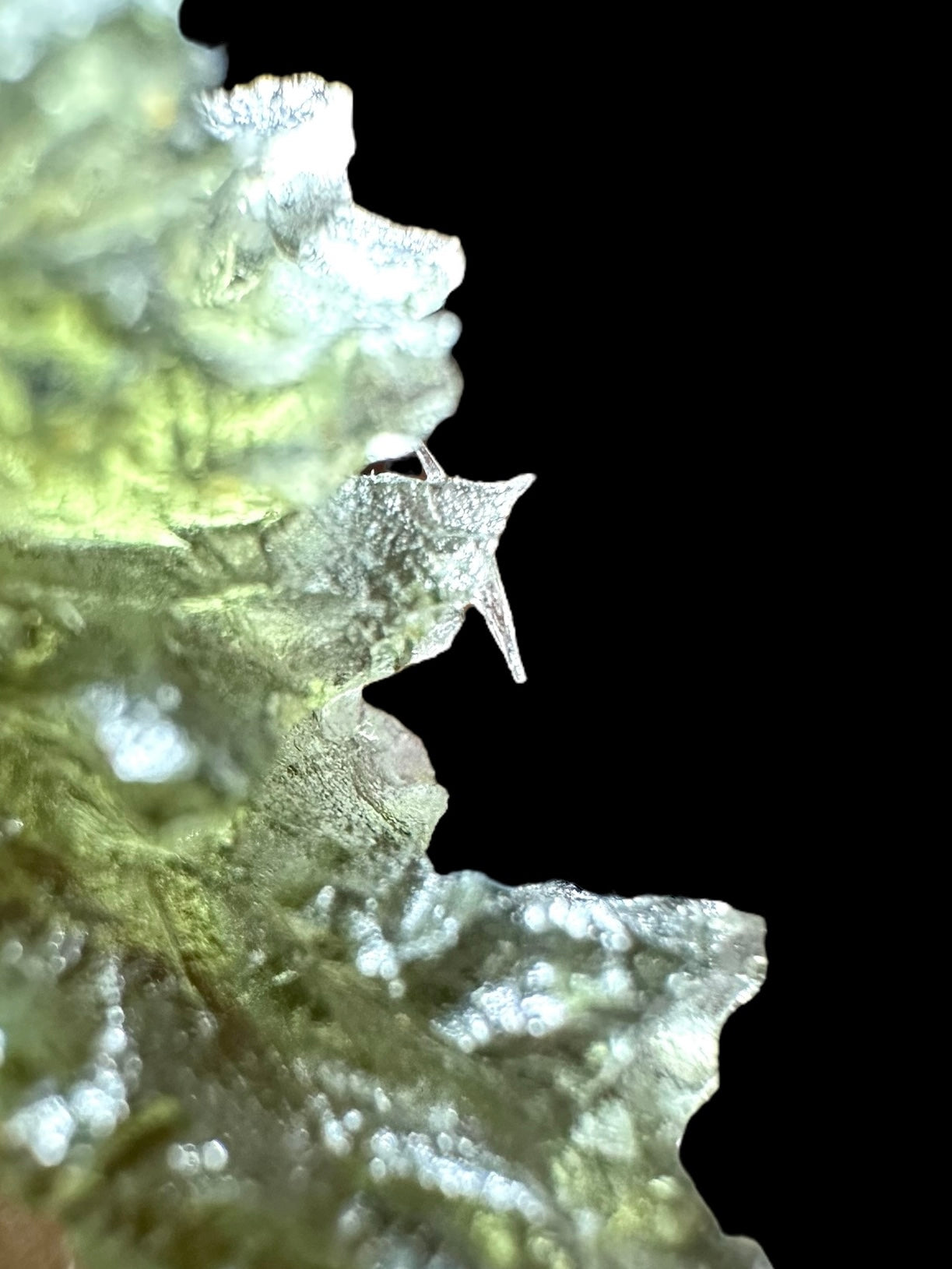 Moldavite – Besednice Jezkovna – 4,3g – V633