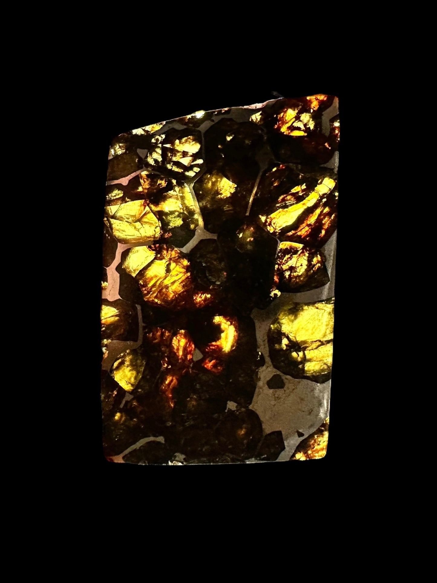 Meteorite Pallasite Esquel – Argentina – MEES01