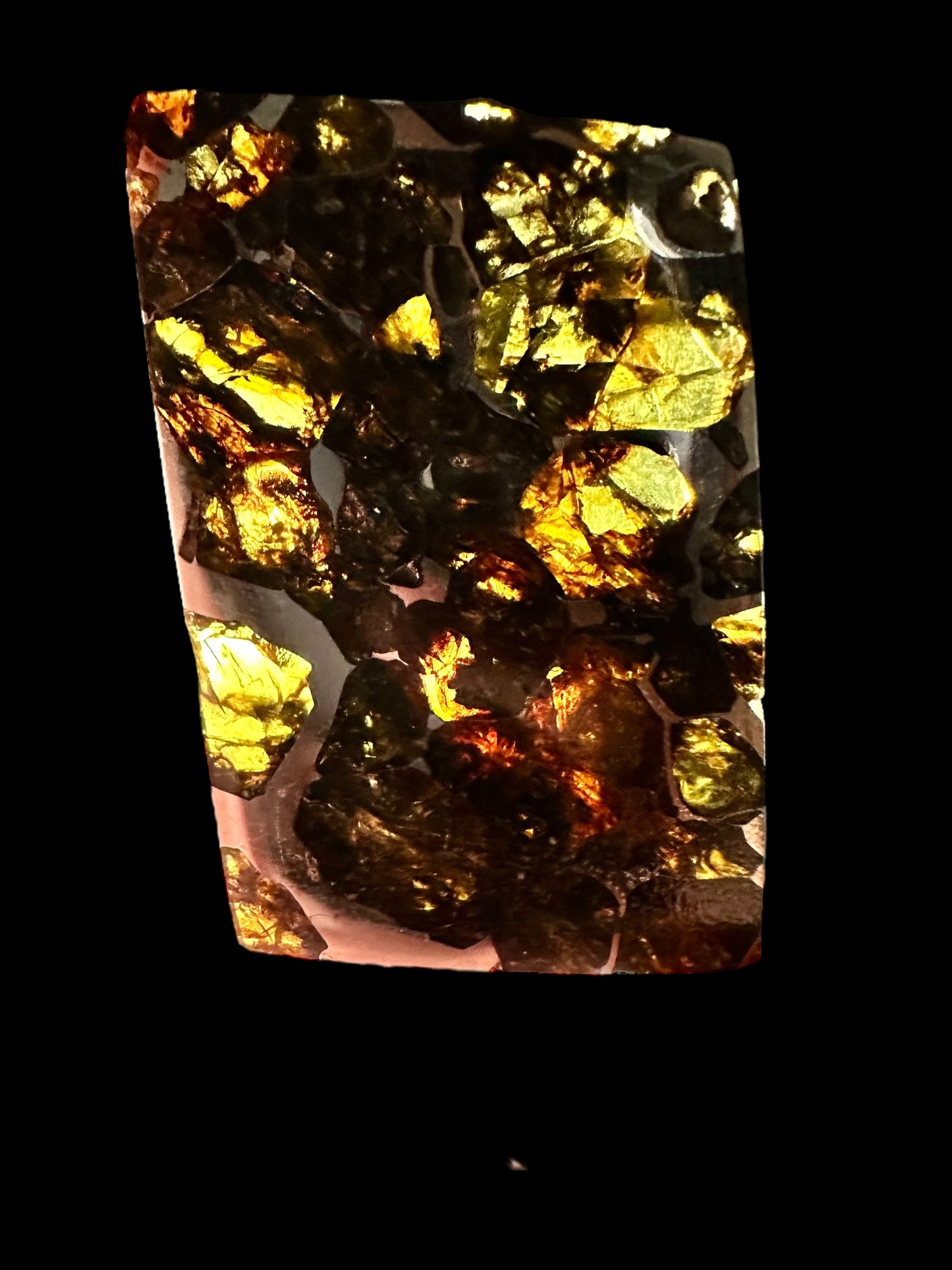 Meteorite Pallasite Esquel – Argentina – MEES01