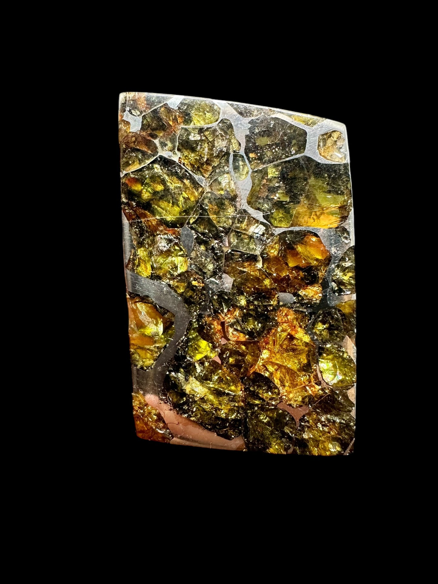 Meteorite Pallasite Esquel – Argentina – MEES01