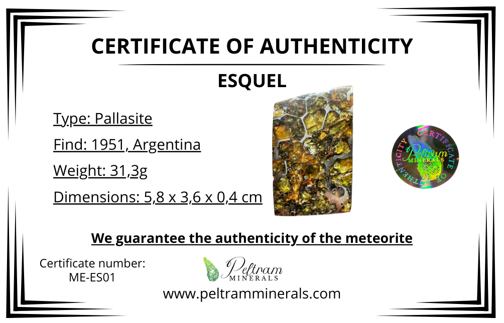 Meteorite Pallasite Esquel – Argentina – MEES01