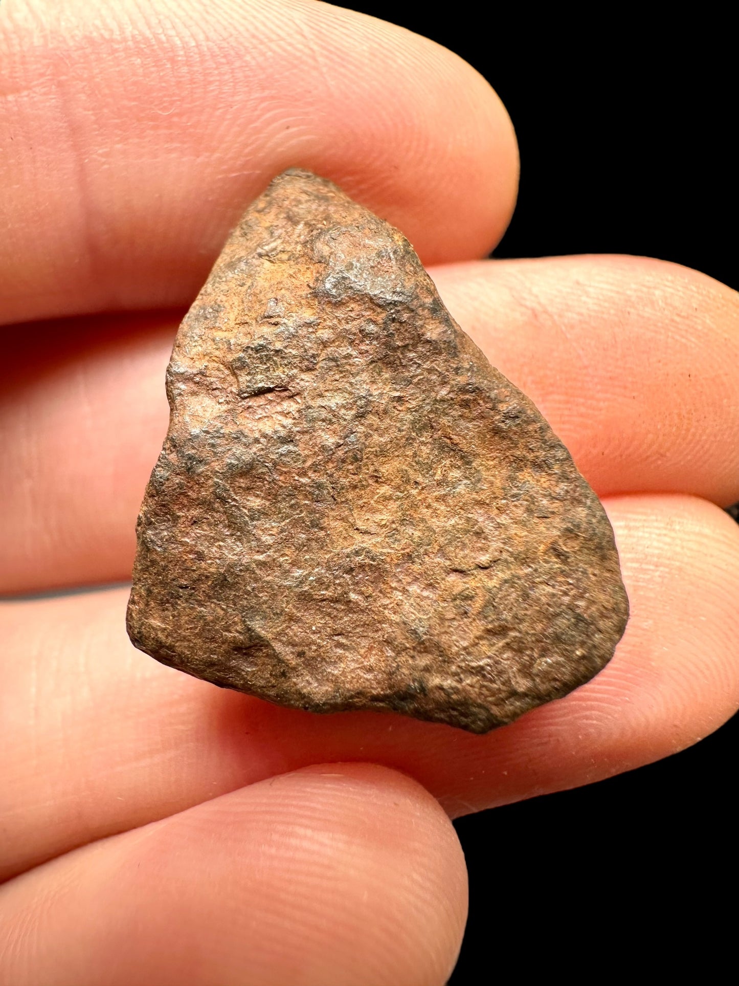 Meteorite Mundrabilla – Nullarbor plain, Australia – MEMU14