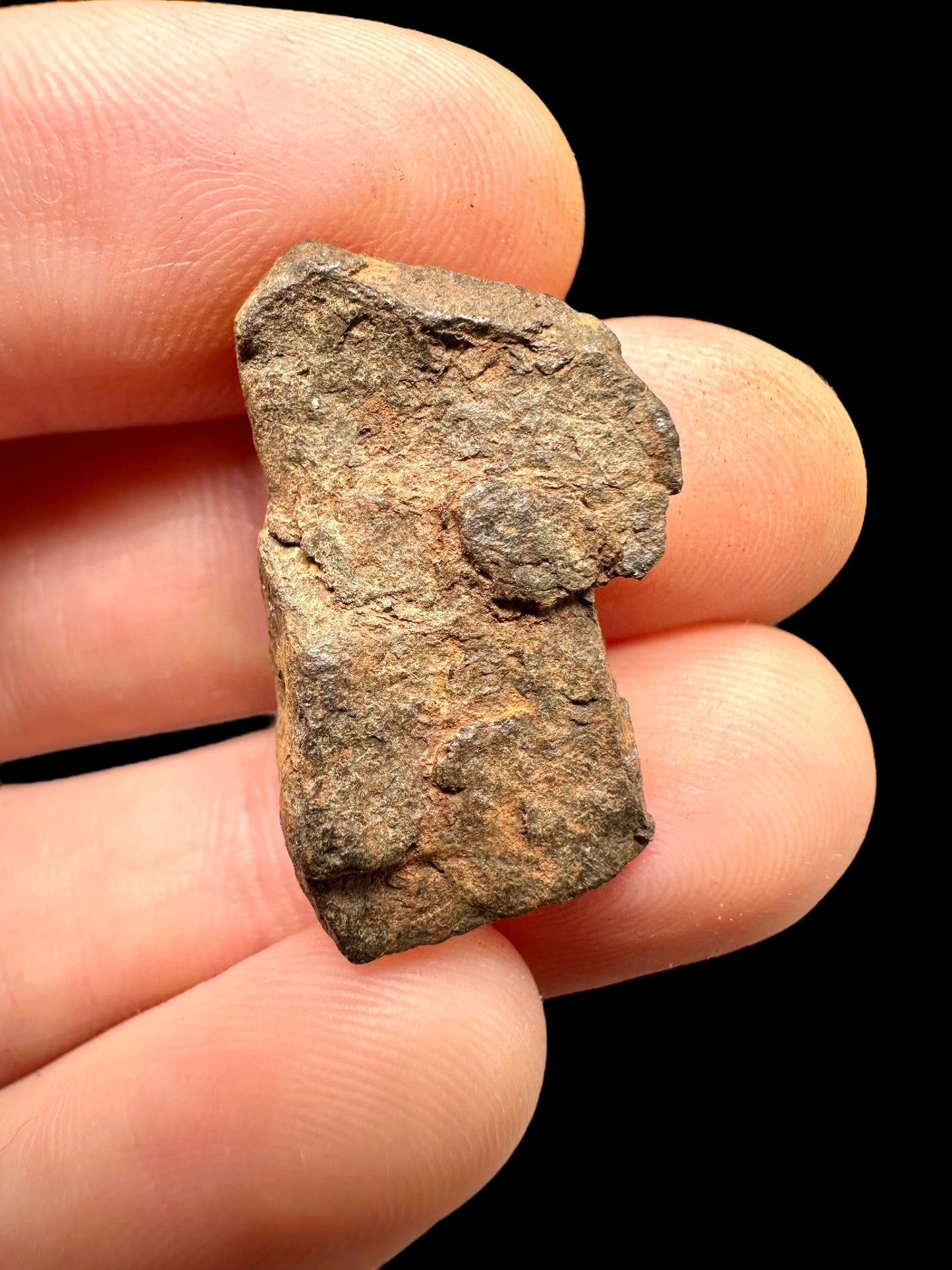 Meteorite Mundrabilla – Nullarbor plain, Australia – MEMU16