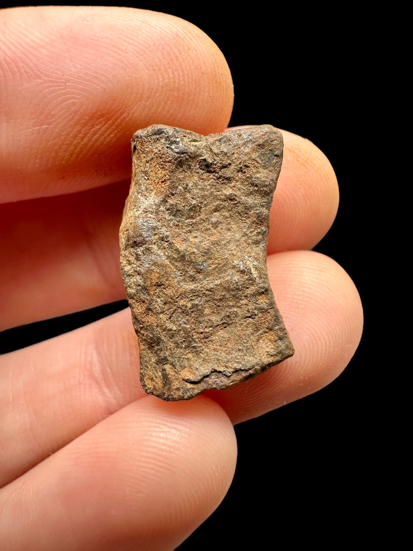 Meteorite Mundrabilla – Nullarbor plain, Australia – MEMU18