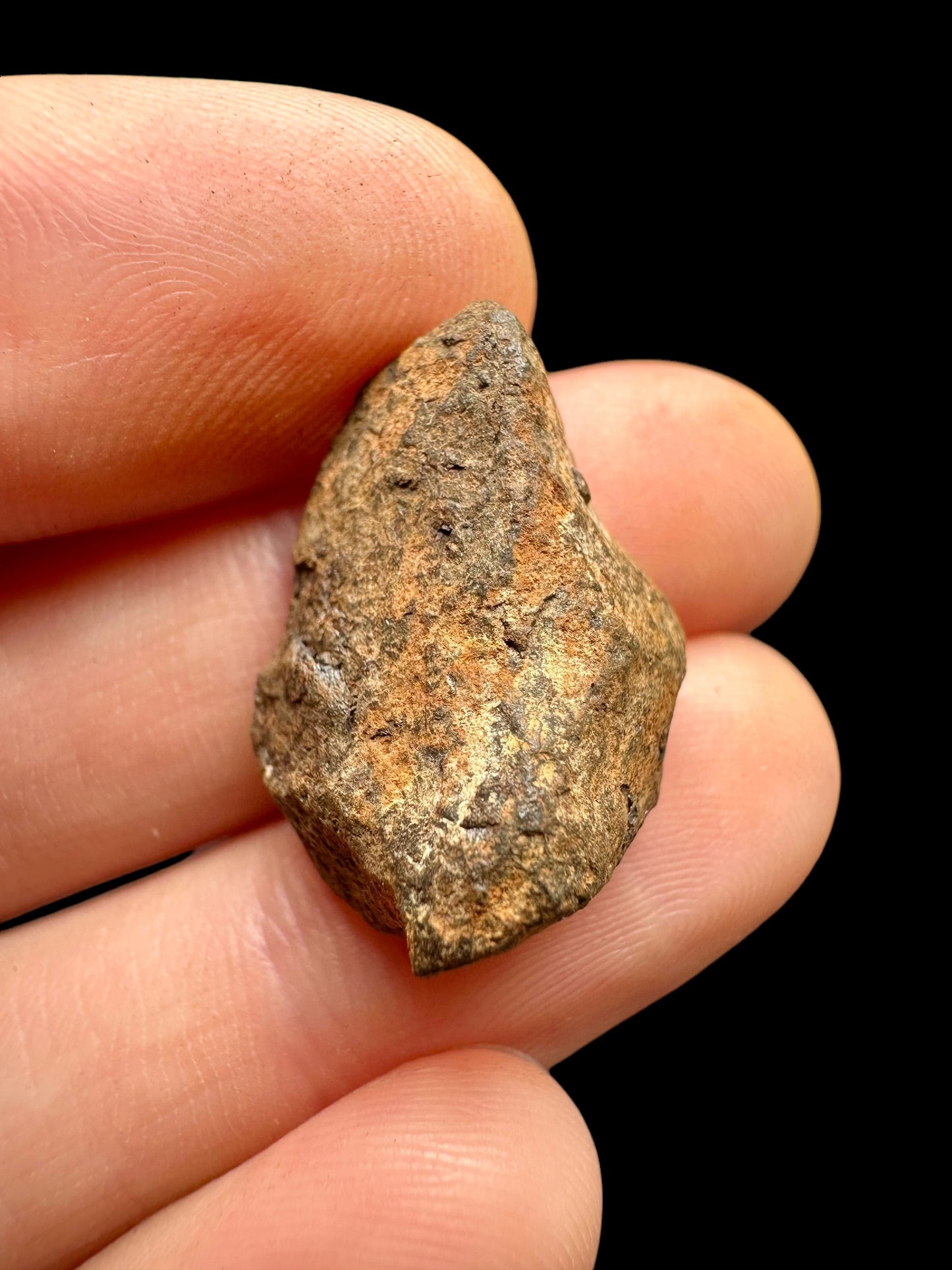 Meteorite Mundrabilla – Nullarbor plain, Australia – MEMU20