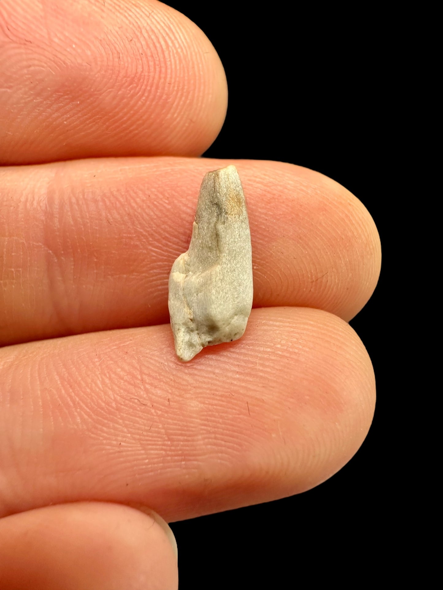 Meteorite Sebkha el Melah 001 – Mali – MESB02