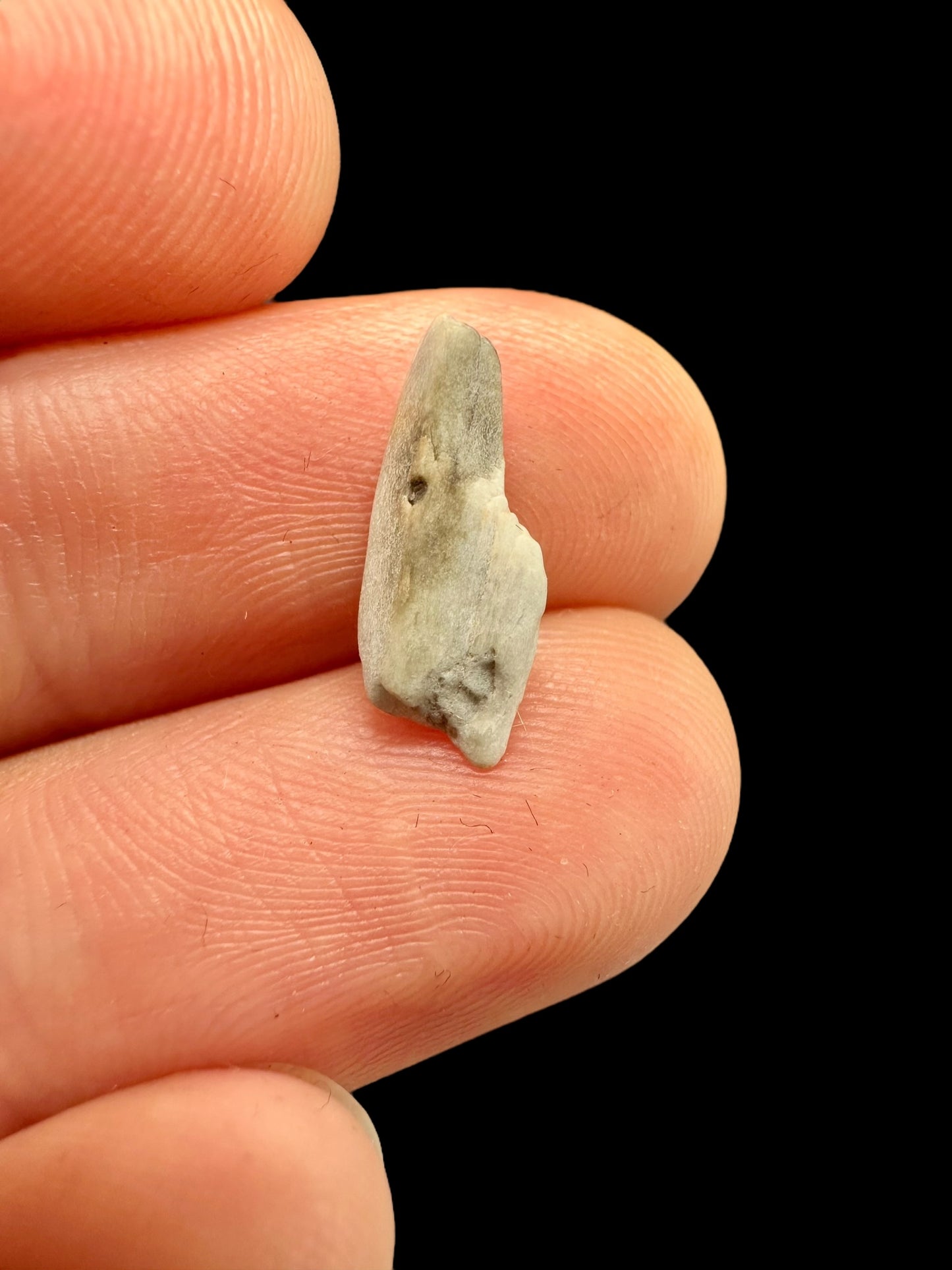 Meteorite Sebkha el Melah 001 – Mali – MESB02